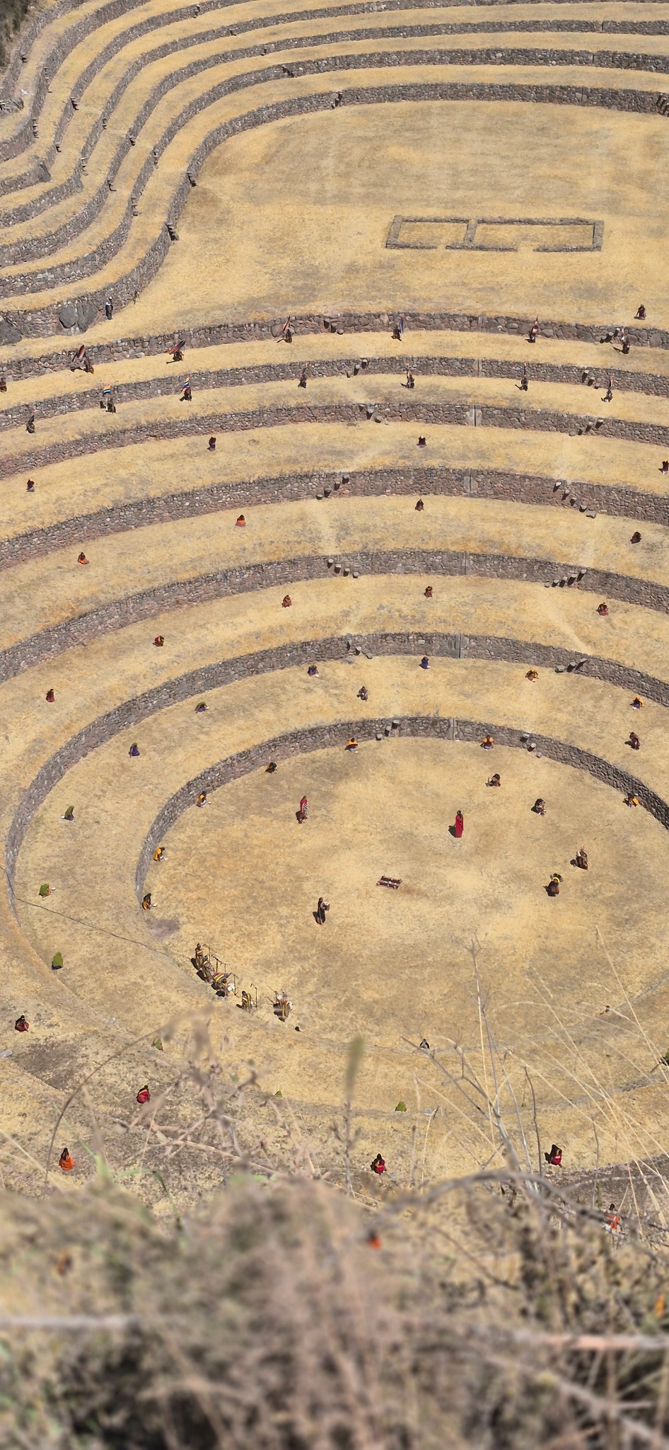 Annual ritual at Moray