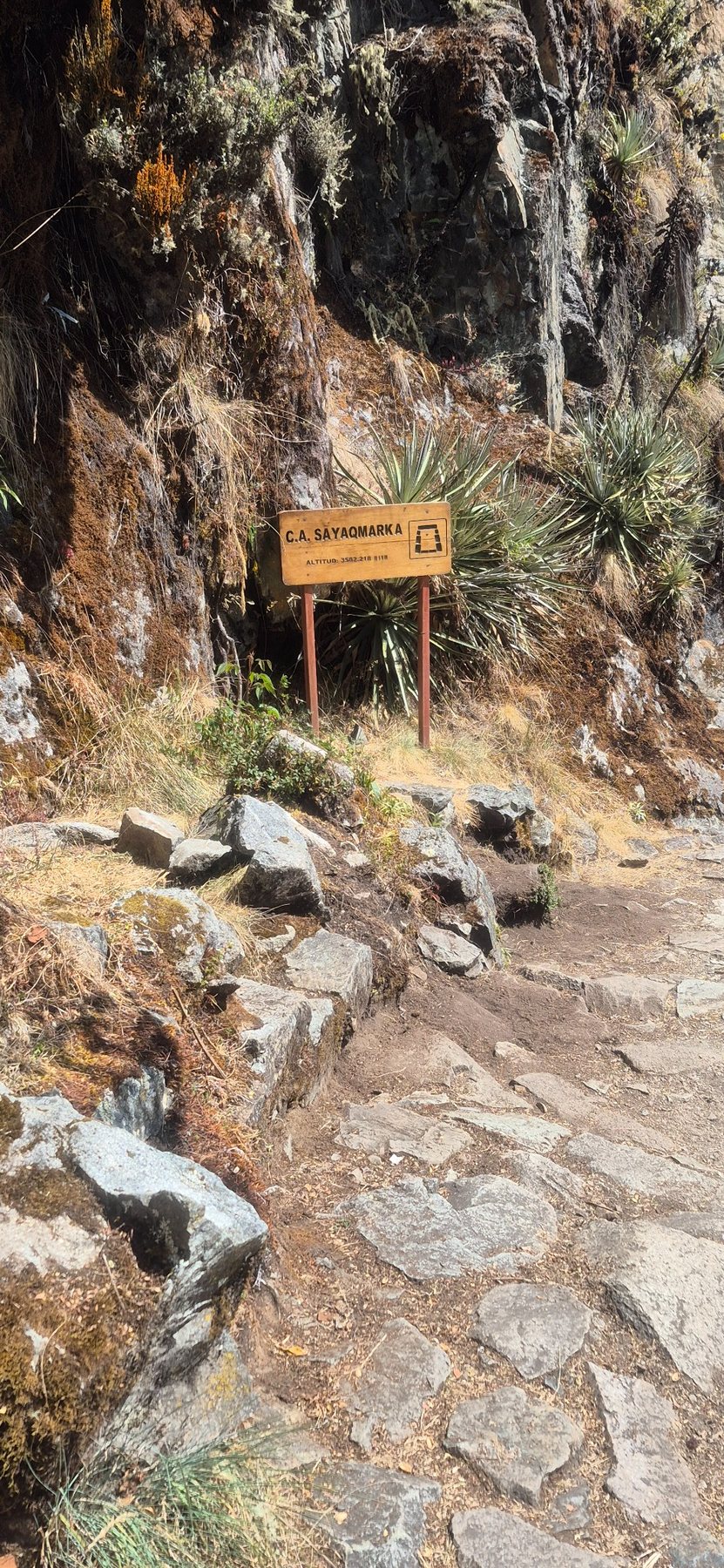 Inca Trail · Day 3 · Dead Woman’s Pass