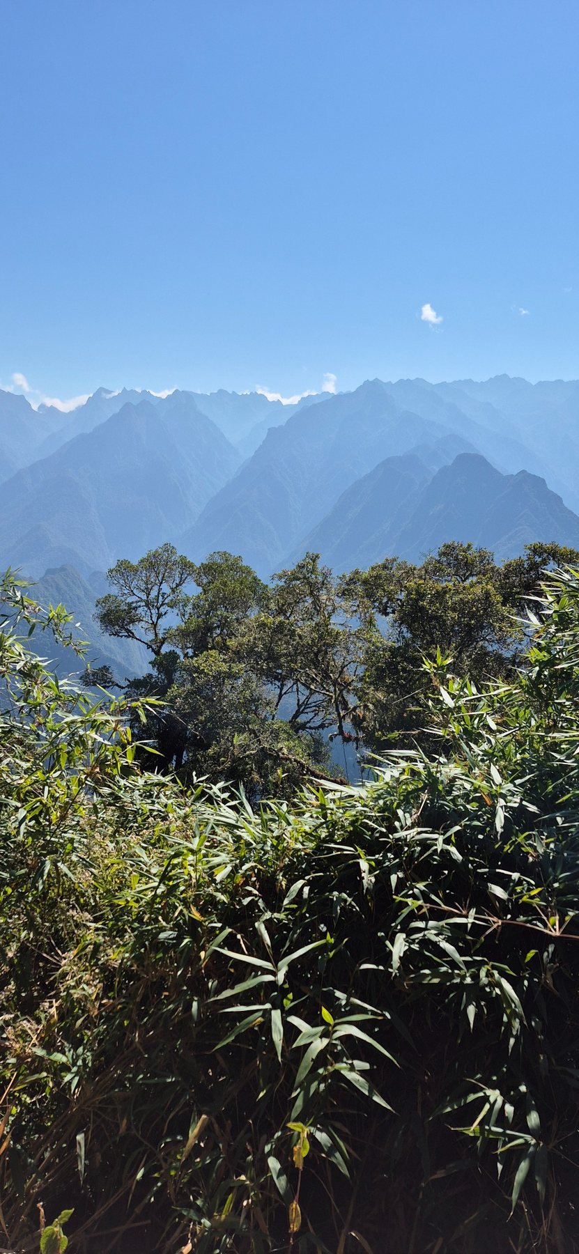 Inca Trail · Day 4 · The road to Machu Picchu