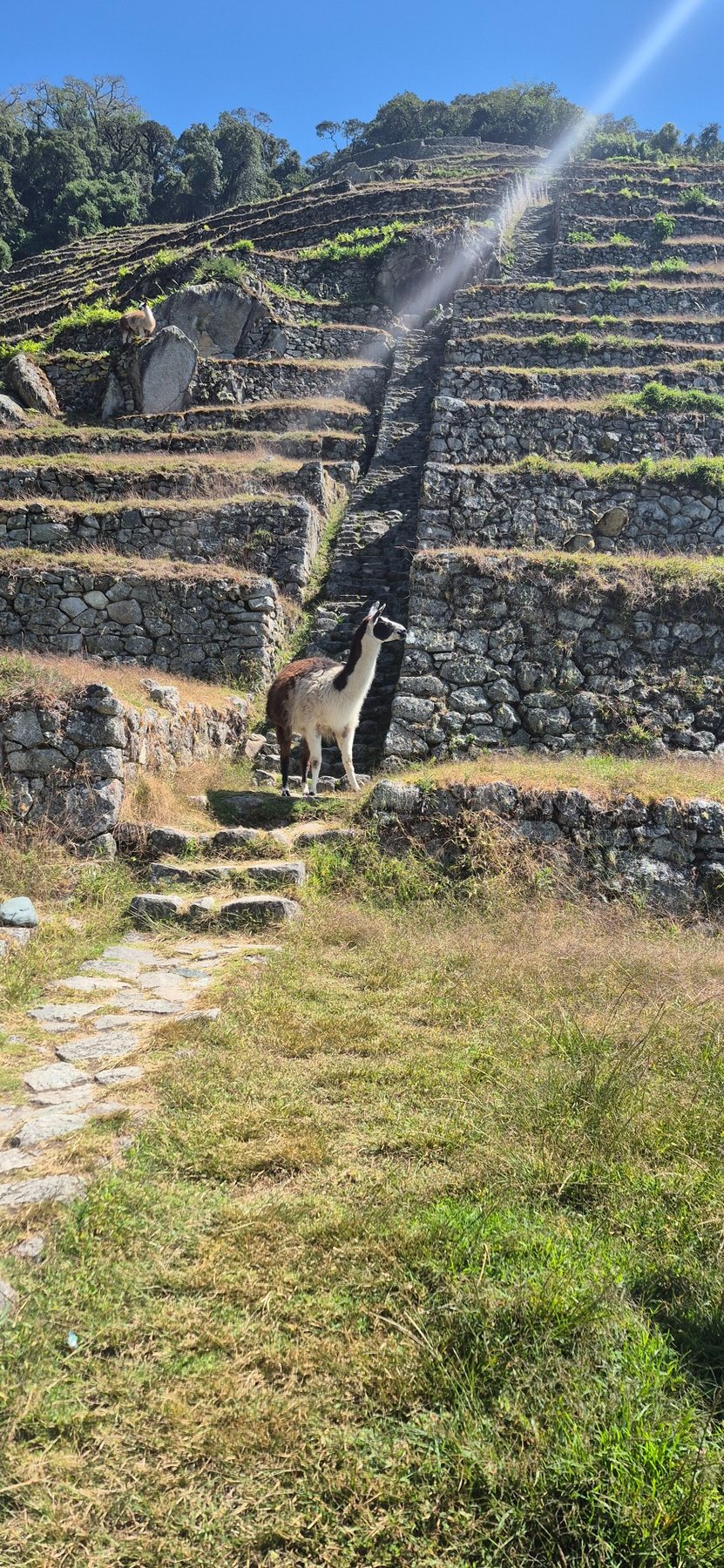 Inca Trail · Day 4 · The road to Machu Picchu