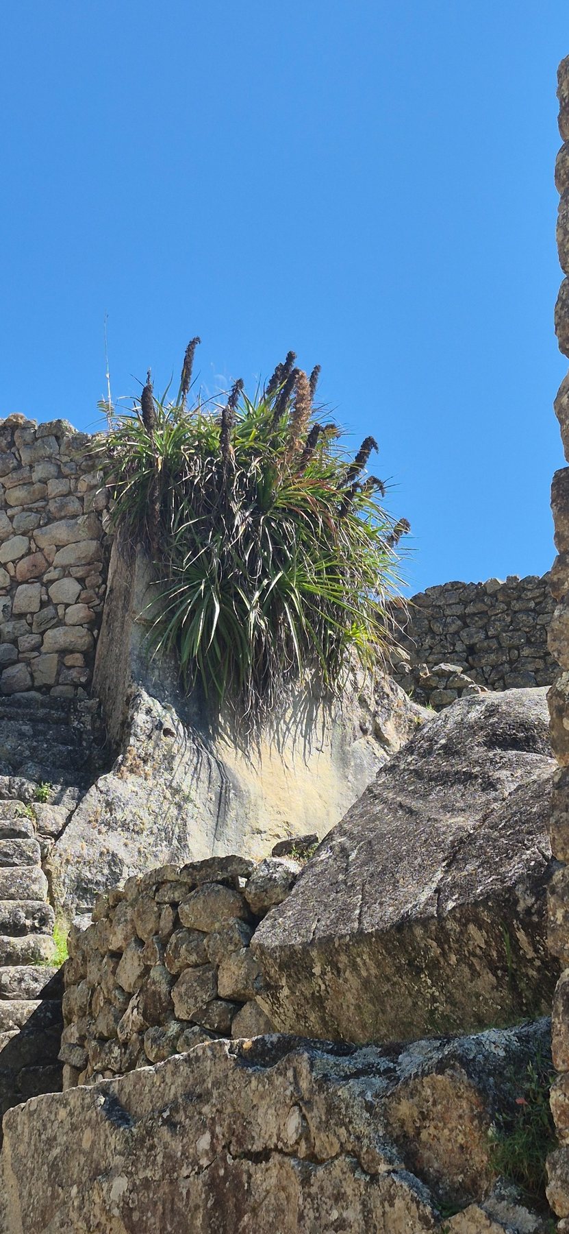 Machu Picchu & Cusco