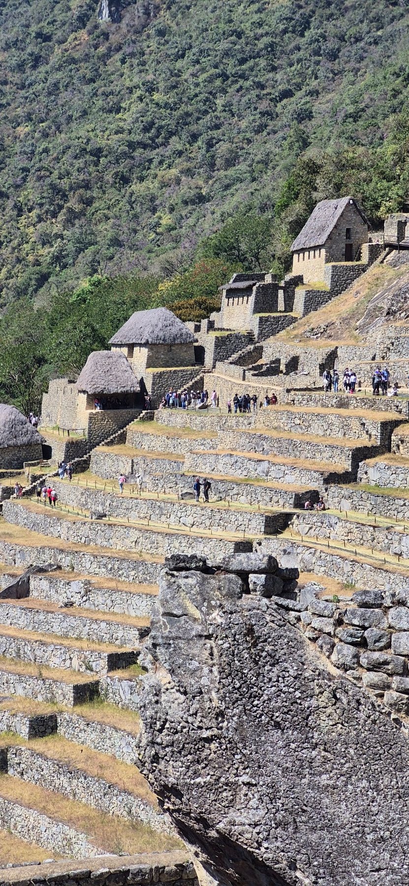Machu Picchu & Cusco